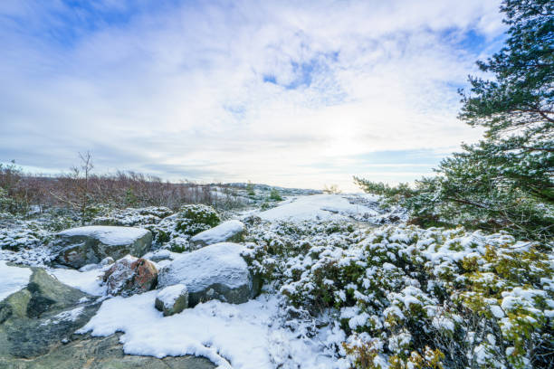 The Greater Amund Island is a nature reserve on the Swedish west coast