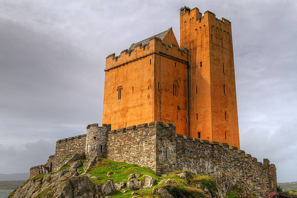 kilcoe zamek - plant orange wall architecture zdjęcia i obrazy z banku zdjęć