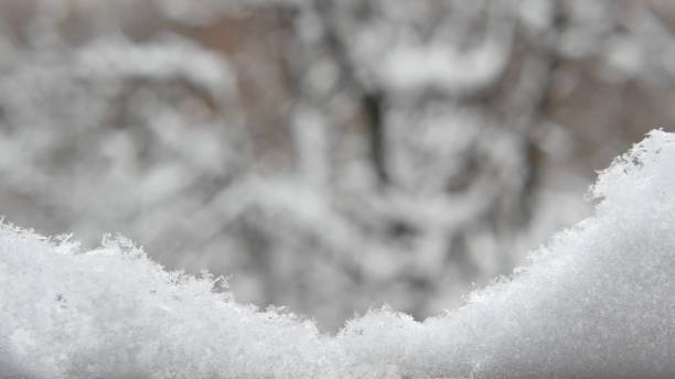 istock White snow flakes falling in winter, snowflakes of wintry Christmas snowfall. 1369087668
