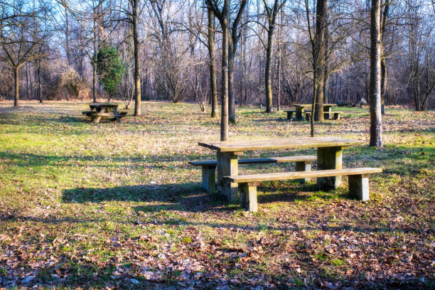 Picnic area along the banks of the Ticino river, near the village of Cameri (Province of Novara, Piedmont, Italy). It originates in Switzerland, and is the main tributary of the Po river.