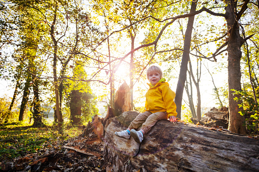 Happy small boy in autumn sunny forest sitting and smiling on a big log in bright coat