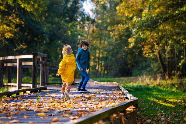 Happy siblings running on wood path walk in sunny autumn forest trying to catch each other