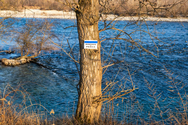 istock Protected fishing reserve, Ticino river, Italy. Color image 1369088489