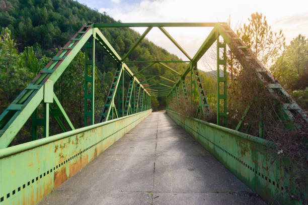 Green iron bridge separating the forest with the sunset sun