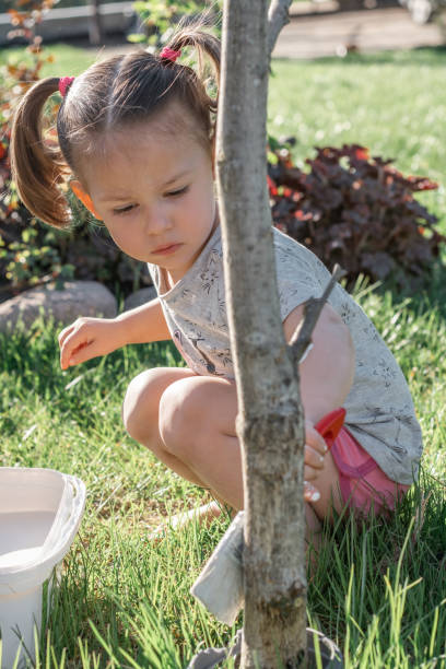 mała dziewczynka w wieku 2-4 lat ze szczotką wybielającą podstawę młodego pnia drzewa w ogrodzie. pionowy - child caucasian little girls 3 4 years zdjęcia i obrazy z banku zdjęć