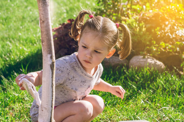 petite fille de 2-4 ans avec brosse blanchit à la chaux la base du jeune tronc d’arbre, dans le jardin - child caucasian little girls 3 4 years photos et images de collection