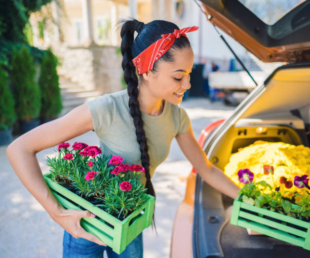 istock lower delivery from the garden center 1369092787