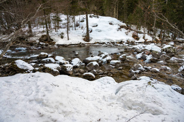 istock view of the cauterets river in winter 1369092938