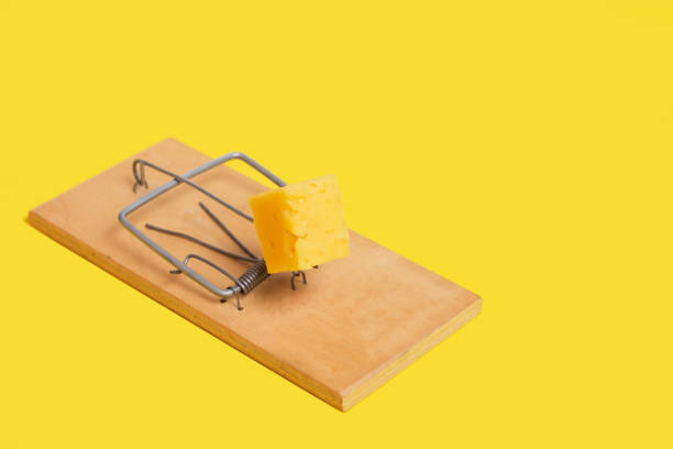 istock Loaded mousetrap with a piece cheese on a yellow background. 1369093955