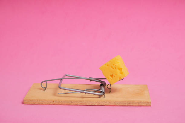 Mouse Trap with Trophy - Colored Background - 3D Rendering