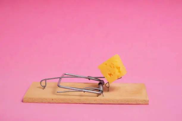 Loaded mousetrap with piece cheese on a pink background