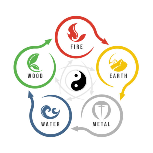 illustrations, cliparts, dessins animés et icônes de wu xing ou chine est un graphique de philosophie à 5 éléments avec des symboles de feu, de terre, de métal, d’eau et de bois dans une boucle circulaire avec symbole yinyang dans la conception vectorielle centrale - fengshui