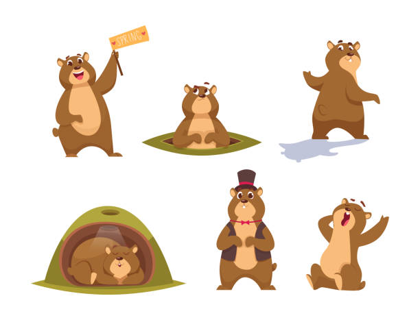 groundhogs. wild funny animal symbols of groundhog day time loop characters exact vector flat illustrations in cartoon style - groundhog day tatil stock illustrations