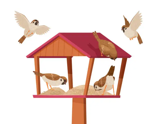 Vector illustration of Sparrows in birdhouse. Chirp birds characters flying and eating crumbs in birdhouse exact vector cartoon background
