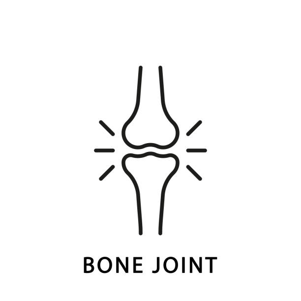 휴먼 무릎 뼈 관절 선 아이콘. 해부학 다리 스켈레톤 선형 픽토그램. 관절염, 골다공증 질환 뼈 관절 개요 아이콘. 정형 외과 건강. 편집 가능한 스트로크. 격리된 벡터 일러스트레이션 - 사람 관절 stock illustrations
