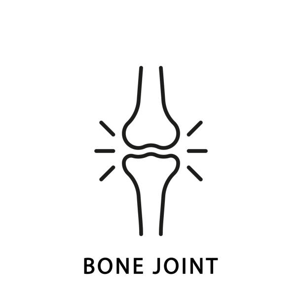 ilustrações de stock, clip art, desenhos animados e ícones de human knee bone joint line icon. anatomy leg skeleton linear pictogram. arthritis, osteoporosis illness of bone joint outline icon. orthopedic health. editable stroke. isolated vector illustration - osso humano