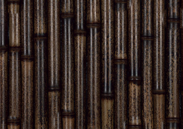 Black bamboo is positioned vertically in close-up