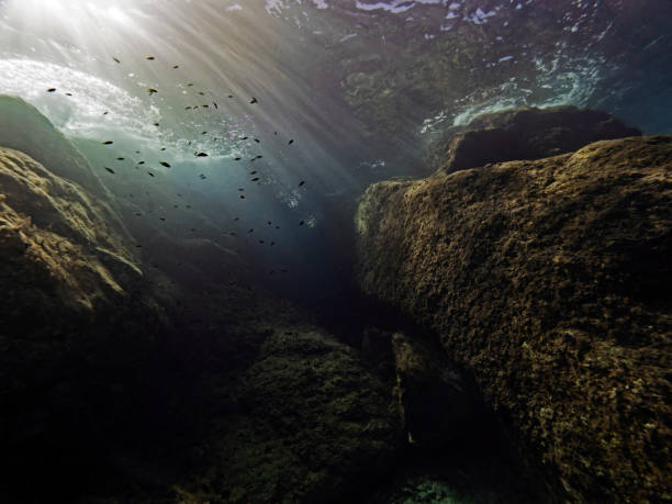 istock Rocks and surf underwater in the mediterranean sea 1369103208