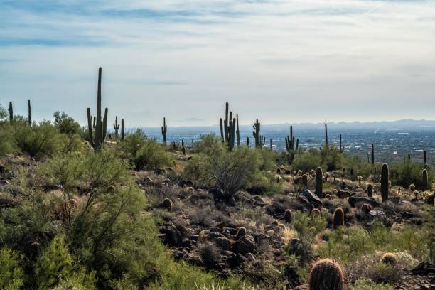 istock An overlooking view of nature in Mesa, Arizona 1369103321