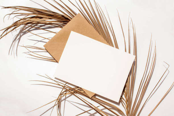 istock Blank mockup sheet on dry palm leaf. Summer tropical concept. Flat lay,  top view. Empty space 1369104413