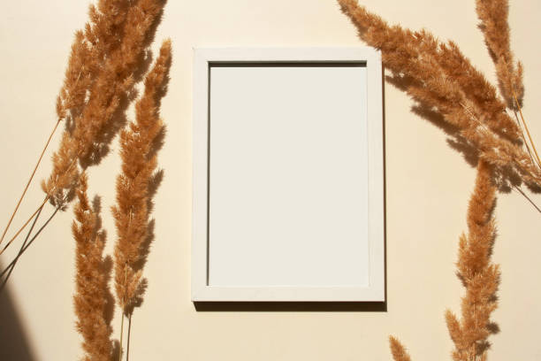 istock Dry pampas grass on a beige background and Photo frame. Mock up, empty space. Contrasting shadows trend. Minimalist style, monochrome. Flat lay style, top view 1369104430