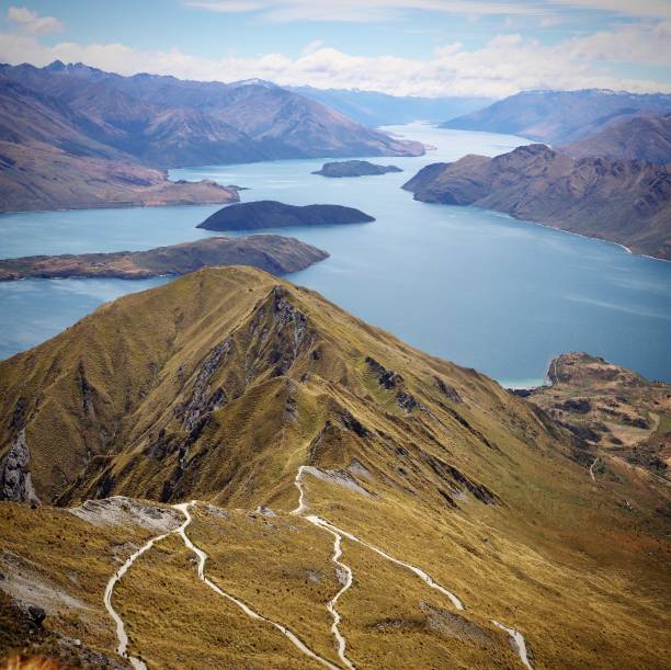 istock New Zealand 1369104446