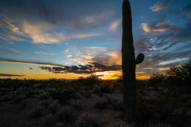 istock Dramatic vibrant sunset scenery in Tucson, Arizona 1369104559