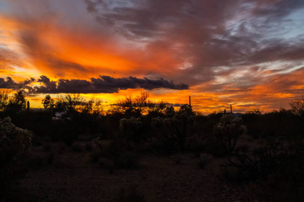 istock Dramatic vibrant sunset scenery in Tucson, Arizona 1369105435