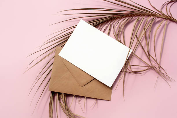 istock Two blank on a dry palm leaf on a pink background. Contrasting shadows. Empty place. Mockup. Flat lay style 1369105635