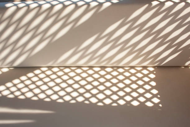 istock Contrasting shadows on white leather sofa cushions 1369105677