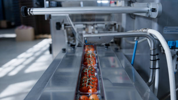 istock Factory machine moving tomatoes at technological automated manufacture closeup 1369105906