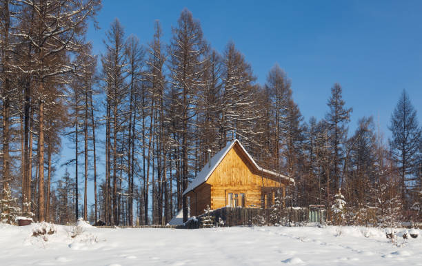 istock small house in winter forest 1369107368