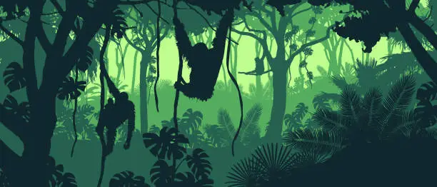 Vector illustration of Beautiful vector landscape of a rainforest jungle with orangutan monkeys and lush foliage in green colors.