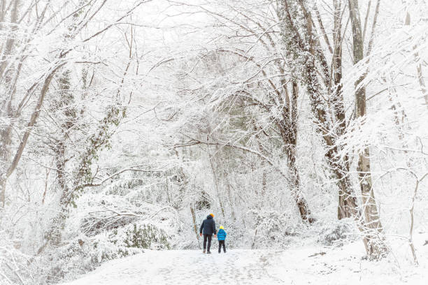 istock Father and son enjoying walking through the snowy forest 1369110175