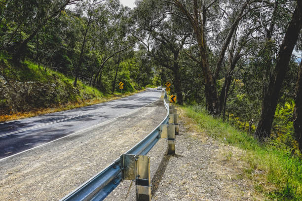 A road through a forest in Australia.