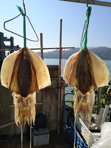 Hanging squids at Peng Chau village, a small island off Hong Kong coast.