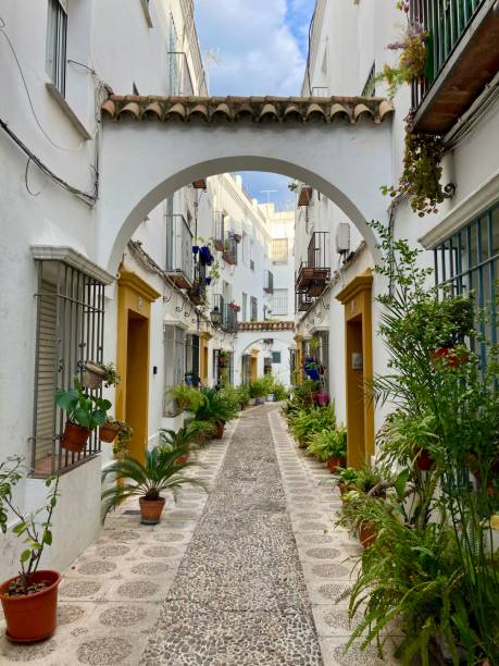 istock Spain - Cordoba- little street 1369111451