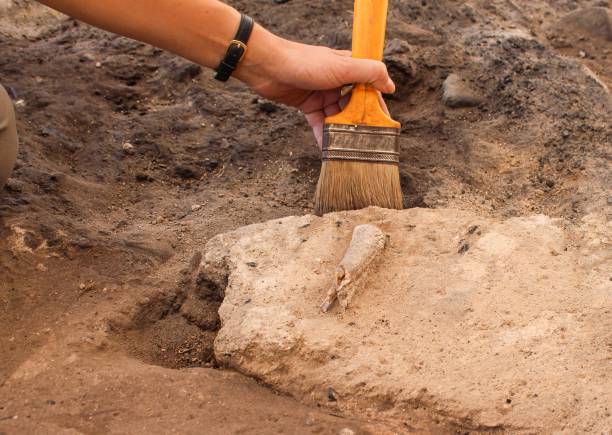 istock An archaeologist meticulously works at the site with a brush. 1369111705