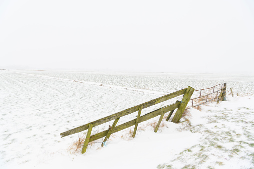 Gate in front of a meadow in a snowy winter landscape in the IJsseldelta region near Kampen in Overijssel during an overcast winter day.
