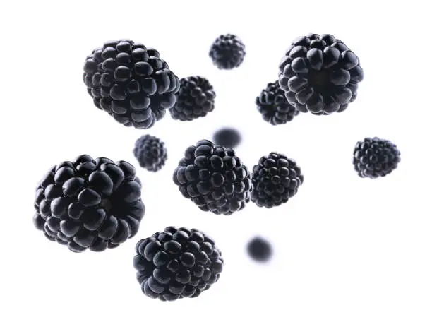 Photo of Ripe blackberries levitate on a white background