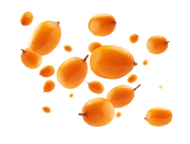 Sea buckthorn berries levitate on a white background stock photo