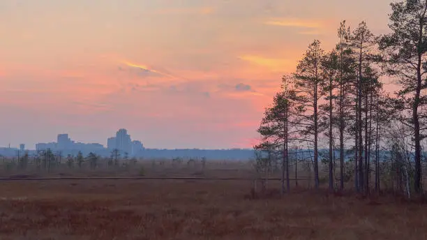 Ecological route swamp: autumn, time after sunset, town silhouette.