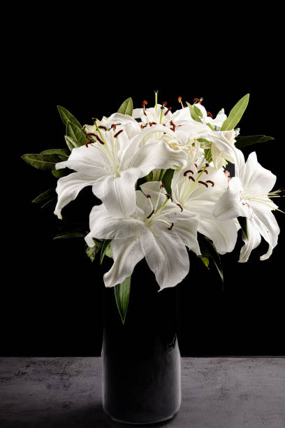 istock Lilly’s in a vase black background 1369116245
