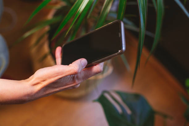 istock Woman's hand with smartphone. Home office 1369118869