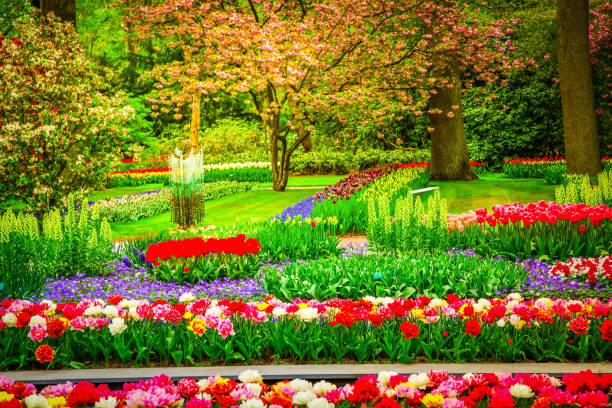 istock fresh lawn with flowers 1369119108