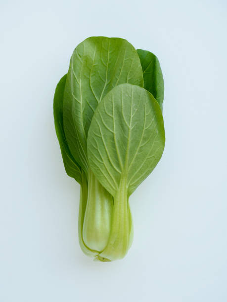 istock Fresh Organic Green Leaf Vegetables Bok Choy 1369120467