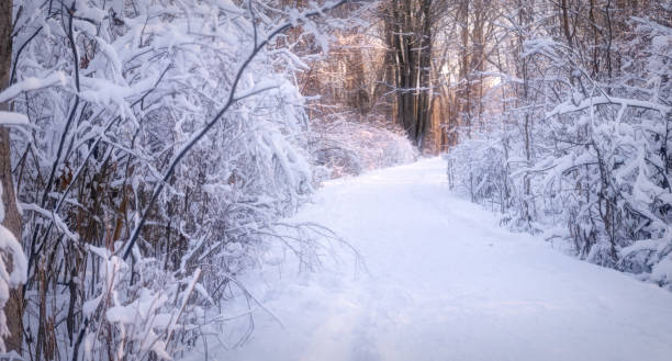 istock Ojibway Park in Winter - Windsor, Ontario 1369122181