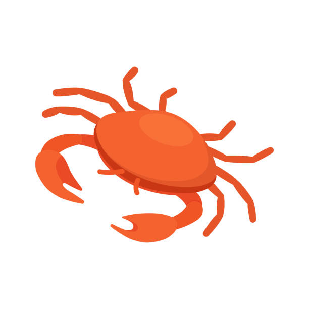 Fish, seafood, crab - Isometric vector illustration in flat design. Fish, seafood, crab - Isometric vector illustration in flat design. feeding stock illustrations