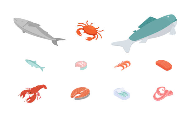 ilustraciones, imágenes clip art, dibujos animados e iconos de stock de conjunto de pescados y mariscos. ilustración vectorial isométrica en diseño plano. - fish seafood lobster salmon