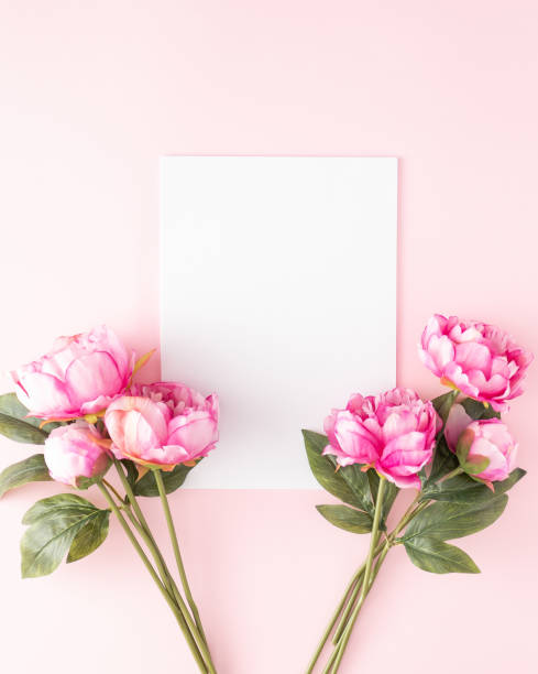 istock Minimal aesthetic flower layout with blank white paper on light pink pastel background. Flat lay. Copy space. 1369129793